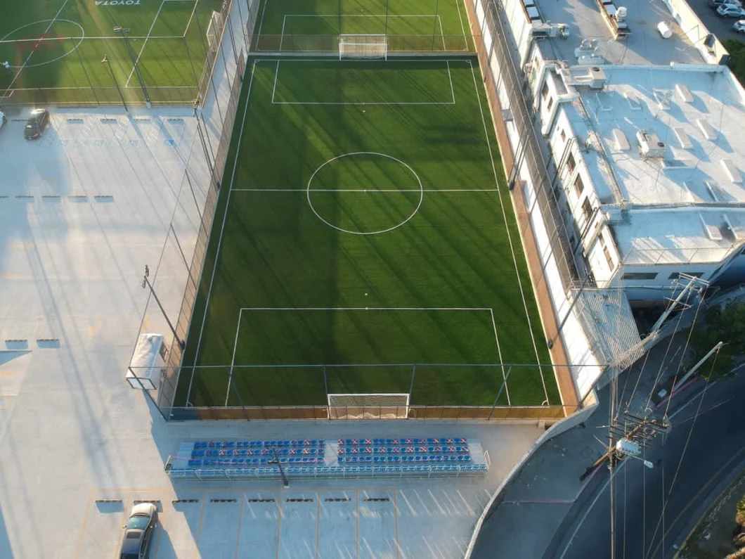 Environment Friendly 50mm Pile Height Fifa Artificial Grass for Football Field
