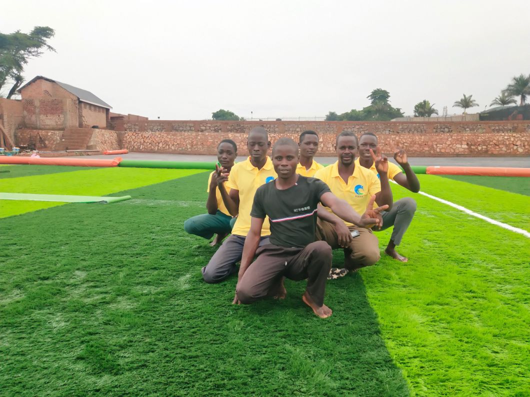 Artificial Grass for Football Field and Garden Field -50mm