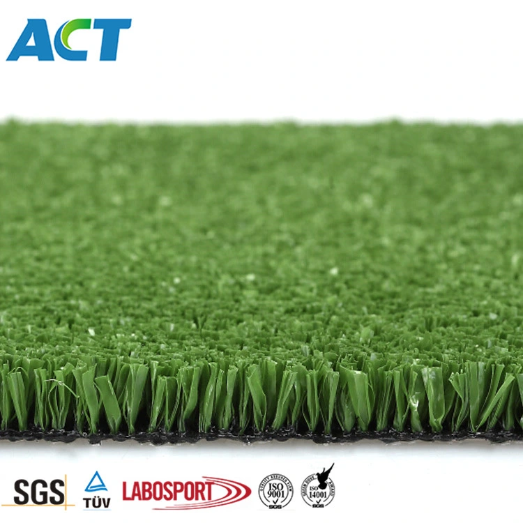 High Quality Chinese Manufacturer of Tennis Artificial Grass, Tennis Grass (SF10W6)