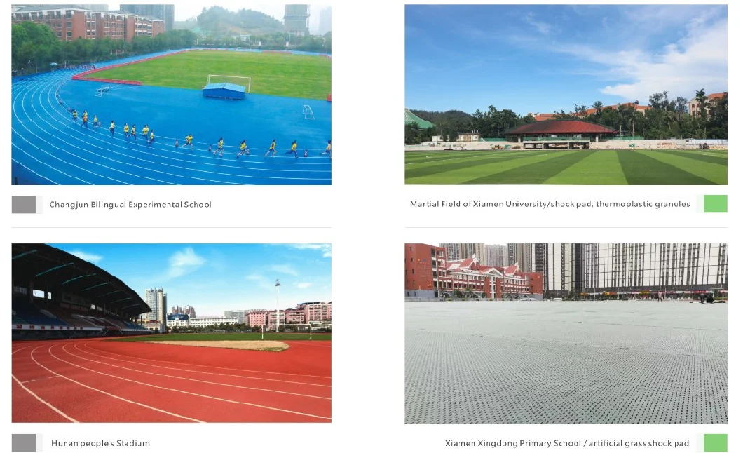 13mm Prefabricated Rubber Running Track with Iaaf Certificate