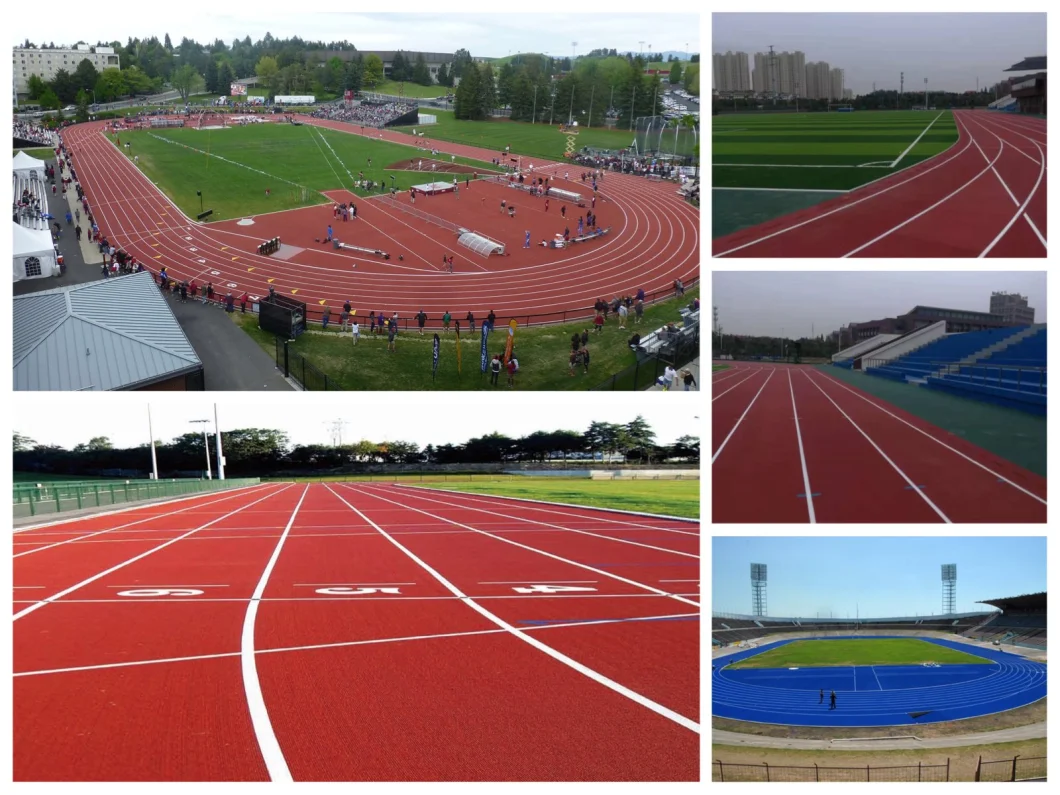 Iaaf Level 1 EPDM Prefabricated Rubber Running Track /Athletic Track