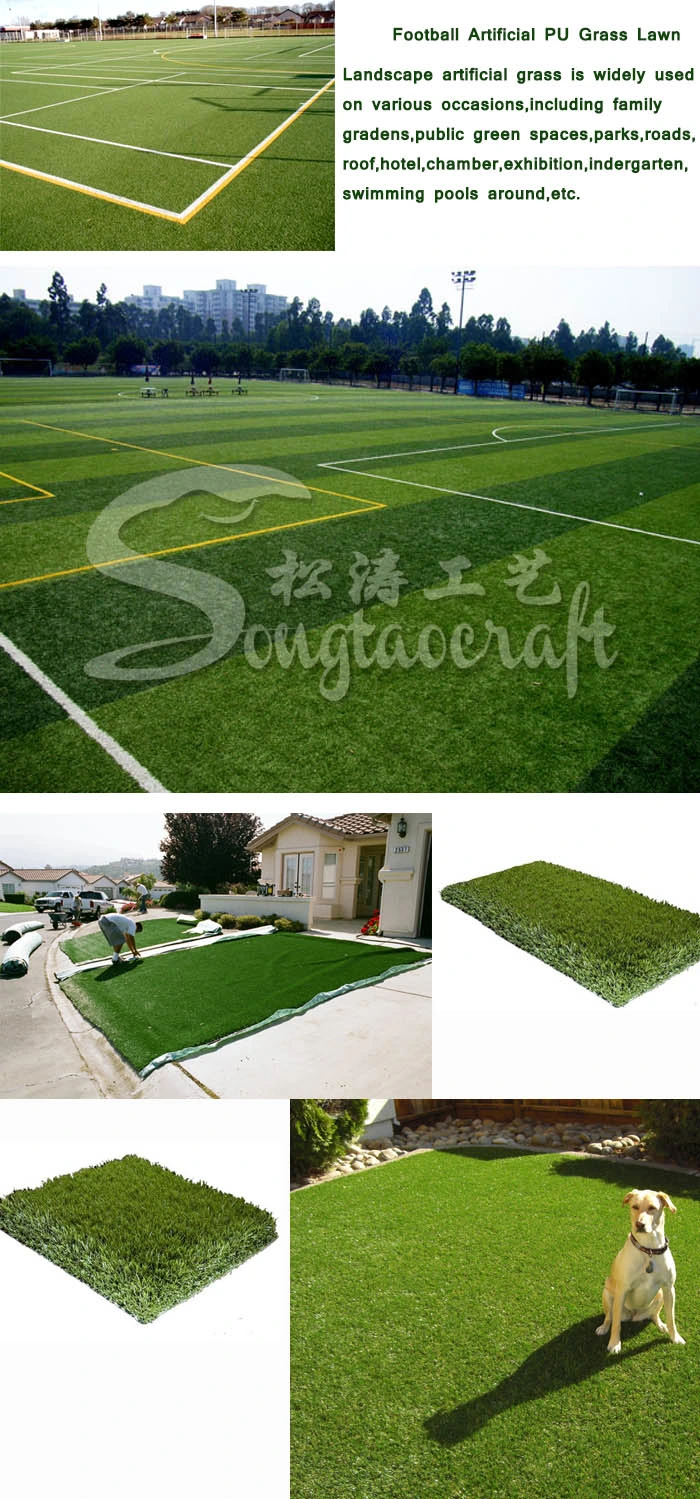 Football Artificial PU Grass Lawn Grass Carpet on Competitive Price