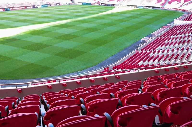 Anti-UV Artificial Carpet Turf Unfill Synthetic Football/Soccer Grass Lawn