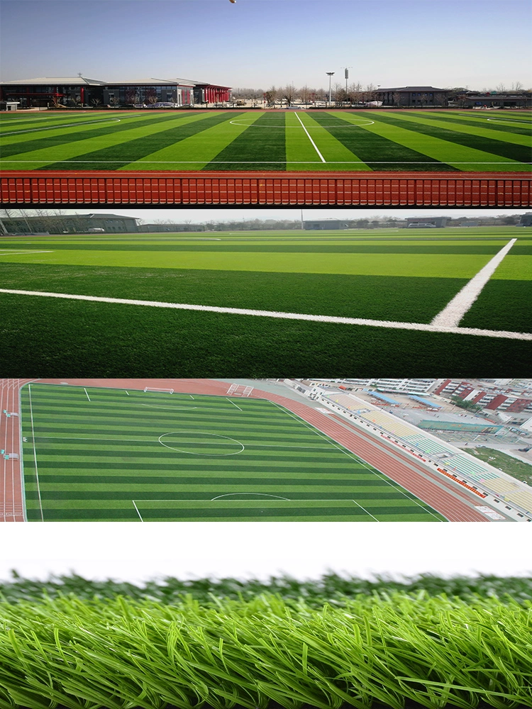 Stem Yarn Artificial Grass for Soccer Mds60 Football Turf Price