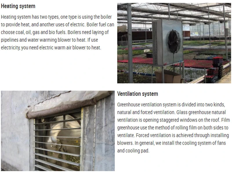 Easy Assemble Modular Retractable Sunlight Vegetables Single Span Tunnel Greenhouse