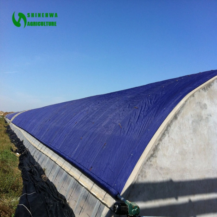 Temperate Winter Warming Wall Plastic Film Sunlight Greenhouses for Sale