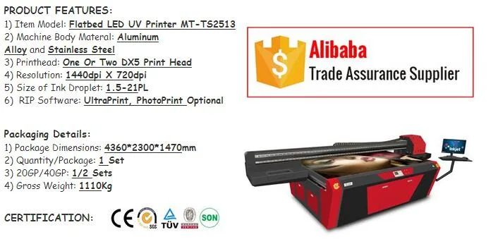 Mt-Ts2513 China Printer Manufacturer Dx5 Print Heads UV Flatbed Printer Digital Printer UV Printer