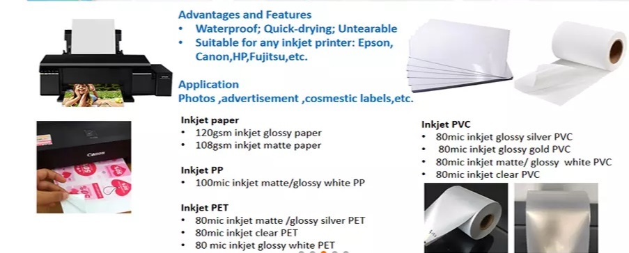 Free Sample Self Adhesive Waterproof Die Cut Vinyl Stickers Customized Sticker Inkjet Printable Label in Roll