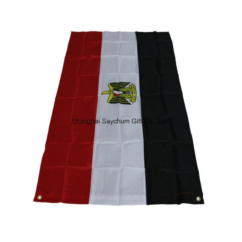 Custom Logo National Flag Country Flag Banner National Pennants