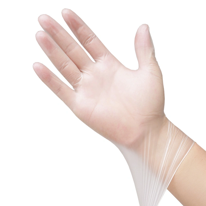 PVC Transparent Glove Powder-Free Disposable Vinyl Gloves