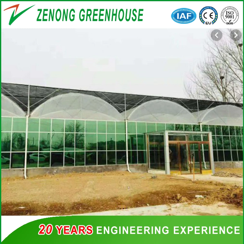 Glass Wall with Film Top Greenhouse for Seed Breeding/Vegetable Planting