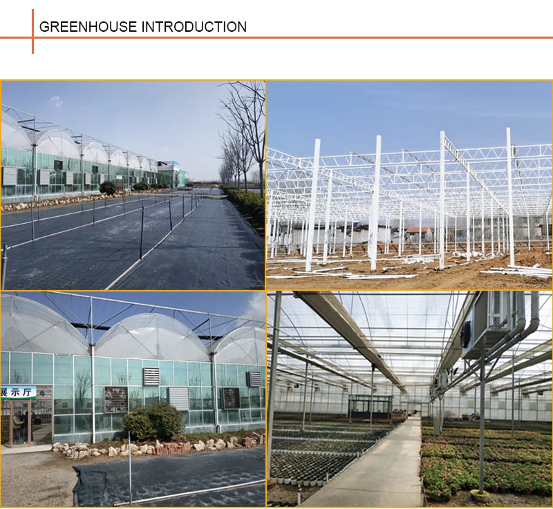 Film Roof Glass Wall Greenhouses for Sale