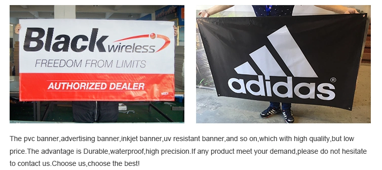 30oz PVC Flex Outdoor Advertising Vinyl Banner/Waterproof UV Resistant Hanging PVC Vinyl Banner