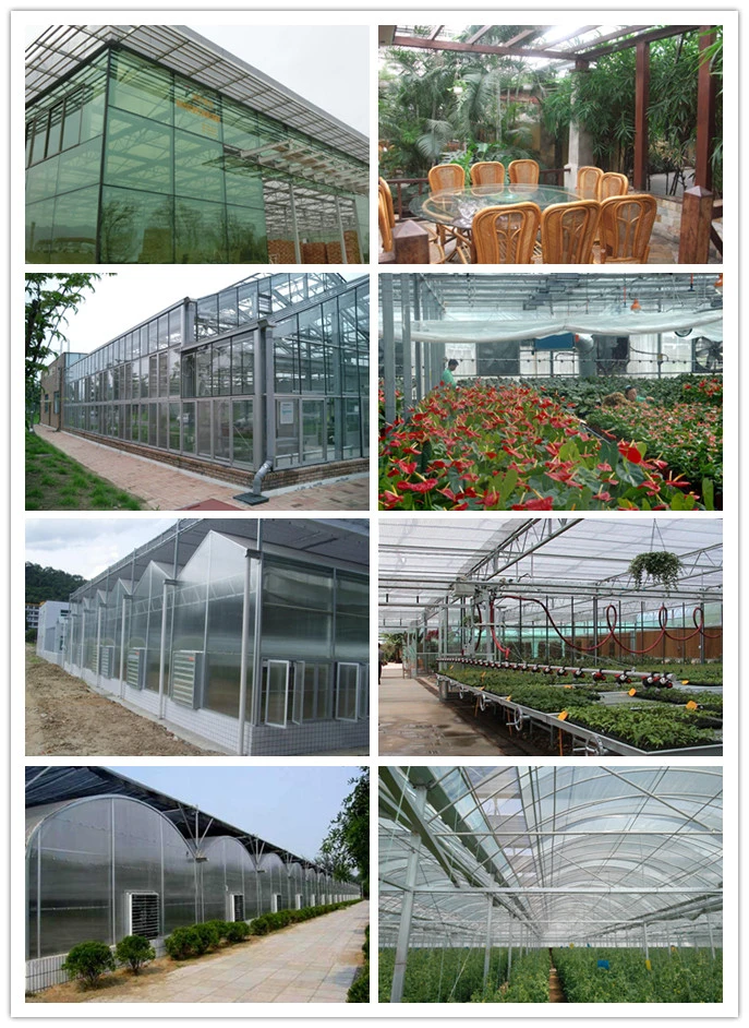 Glass Wall with Film Top Greenhouses for Seed Breeding/Vegetable Planting