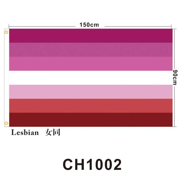 in Stock Cheaper Lesbian Party Hand Flag Peace Gay Hand Flag Bisexual Festival Hand Flag Banner