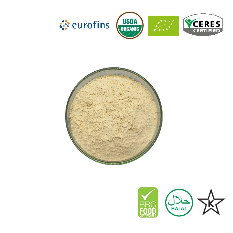 Halal Food Additives Rice Protein Natural Organic 85% Rice Protein Powder for Protein Supplements