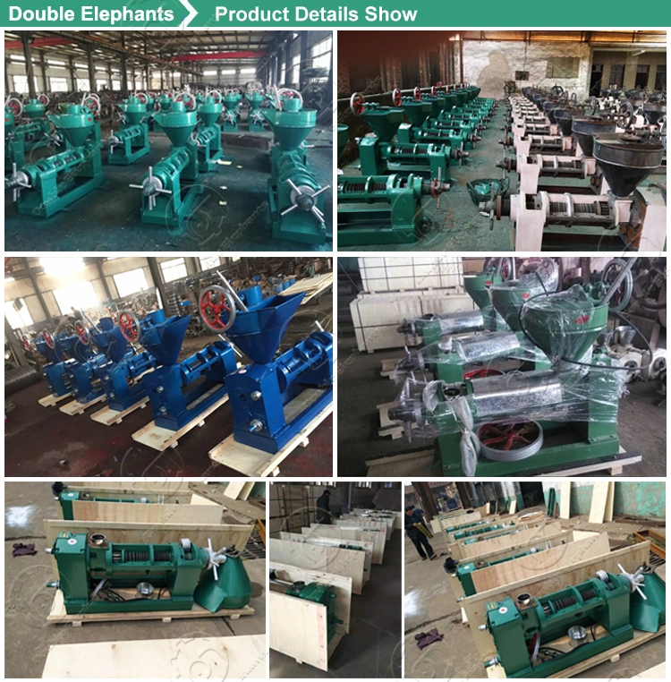 Peanut Sesame Walnut Soya Bean Sesame Oil Extraction Machine Oil Plant