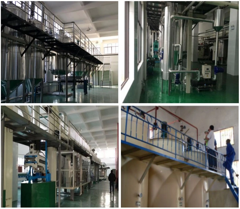 High Oil Yield Refined Rapeseed Oil Plant Palm Sesame Corn Groundnut Oil Refinery Production Line Supplier