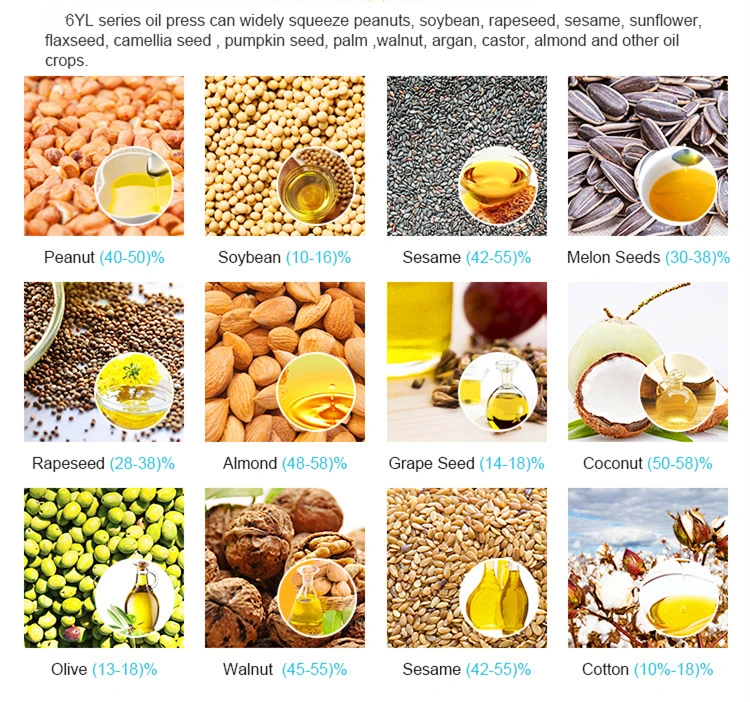 Peanut Sesame Walnut Soya Bean Sesame Oil Extraction Machine Oil Plant