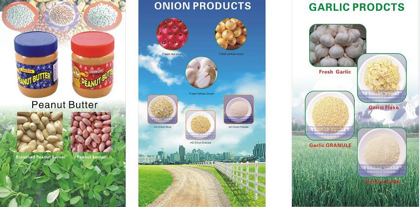 Shandong Groundnut Manufacturer Bulk Package Stabilized Peanut Butter/Paste in 20 Kg Carton