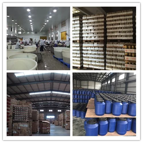 Concentrated Tomato Paste, Canned Tomato Paste, Kechup, Tomato Sauce, Tomato Paste OEM