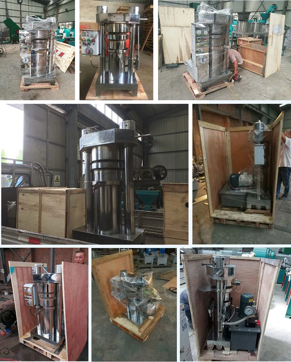 Commercial Sesame Seed Oil Presser Machine Hydraulic Oil Press