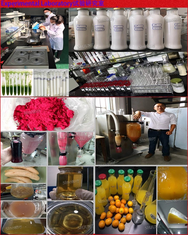 Chilli Sauce Puree Paste Processing Line/Pepper Sauce Puree Paste Processing Plant/Pepper Sauce Puree Paste Production Line and Machines