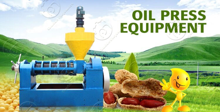 Coconut Almond Corn Oil Press Sesame Seed Oil Extraction Machine for Sale