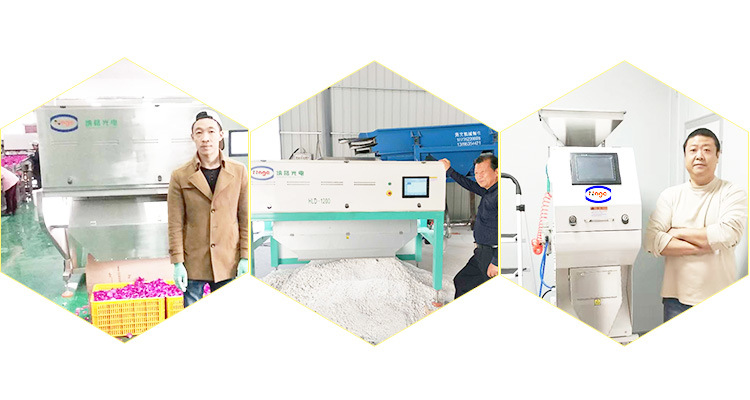 Soybean Color Sorter Machine Soybean Sorter Machine Soybean Processing Machine for Agriculture Chops