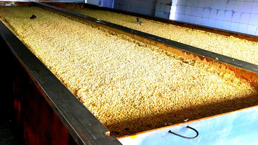 Organic Rice Vinegar 300ml Pearl River Bridge Naturally Brewed Non-GMO Seasoning