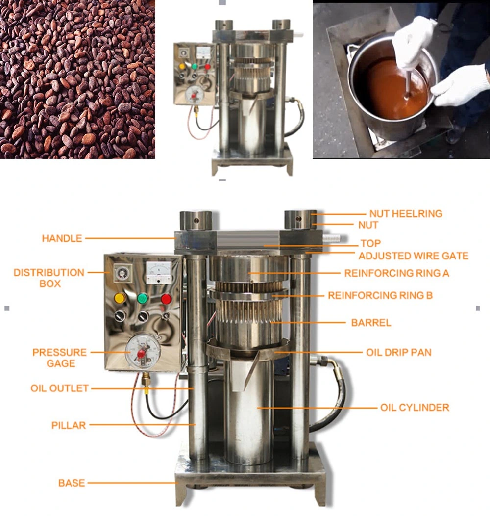 Hydraulic Type Seed Oil Press Almond Black White Sesame Seed Oil Cold Press Making Extraction Machine