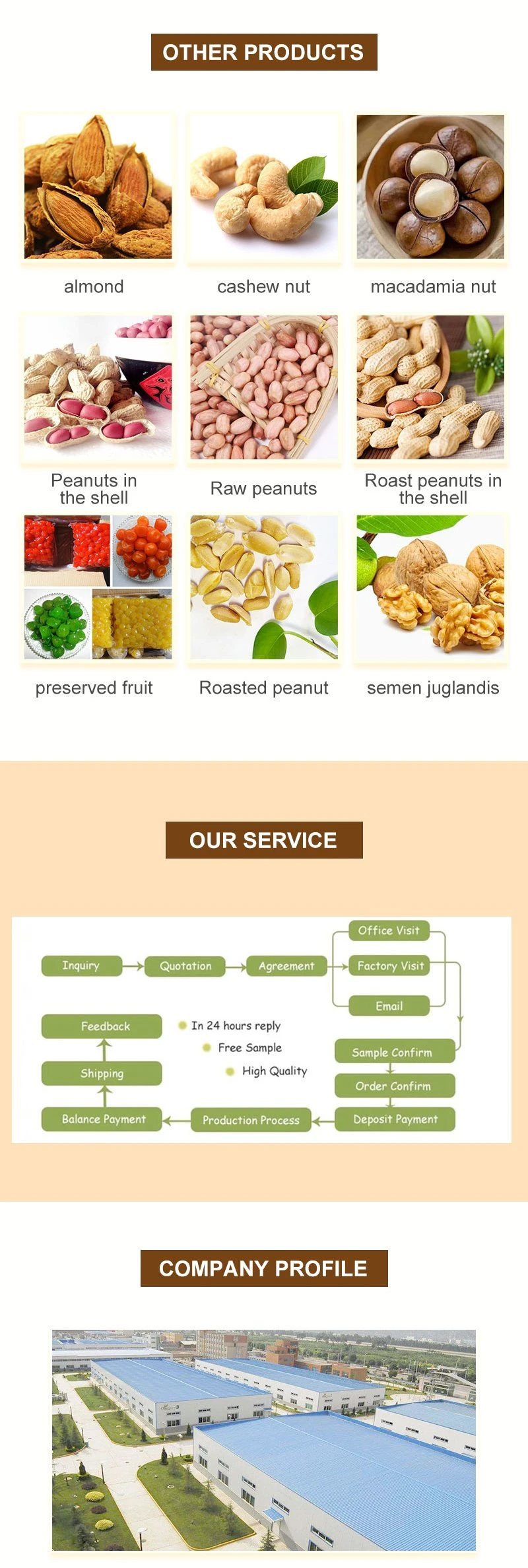 Best Quality Grade a Refined Peanut Oil, Refined Groundnut Oil