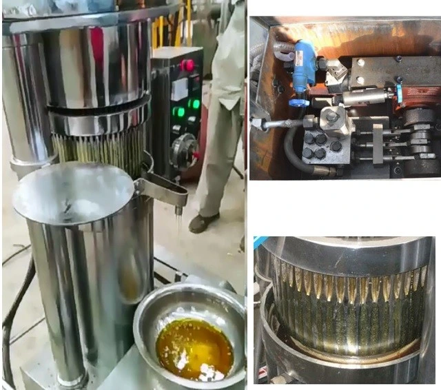 Nut Seed Oil Sesame Oil Extraction Walnut Oil Pressing Machine