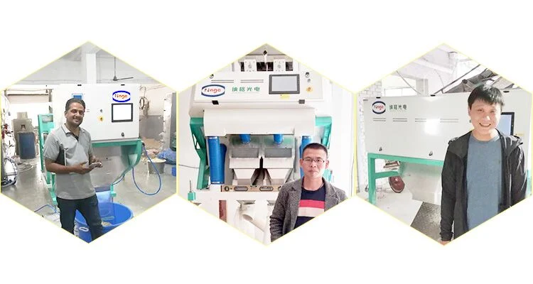 2020 Newest Technology Lentils Color Sorter Machine Lentil Processing Plant
