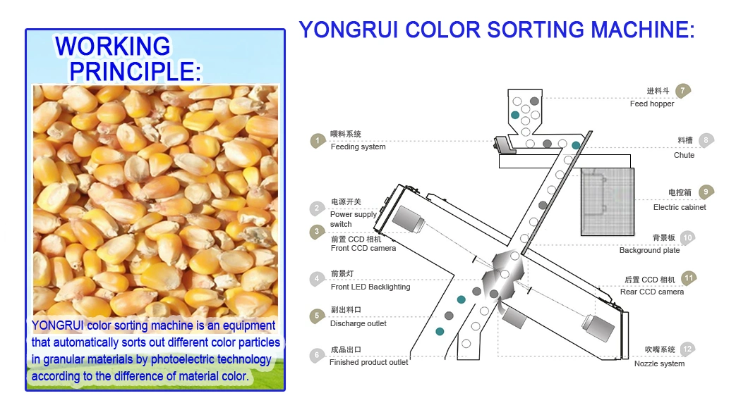 Grain Wheat Color Sorter Corn Oat Millet Color Sorting Machine