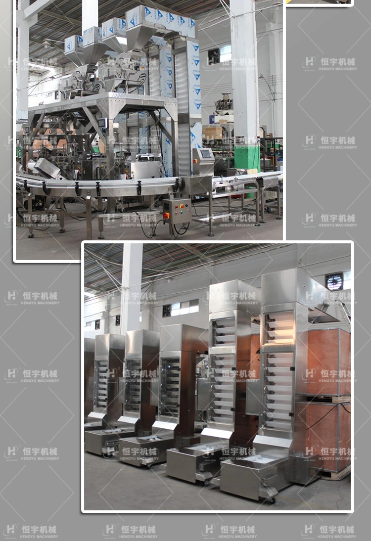 Bulk Material Handling Grains Chain Z Bucket Elevator in Food