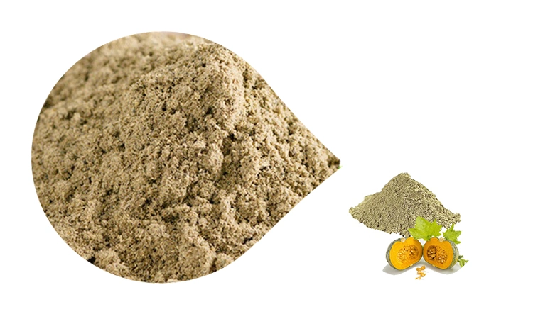 Supply China Pumpkin Seed Extract and Pumpkin Seed Protein Powder of Plant Protein