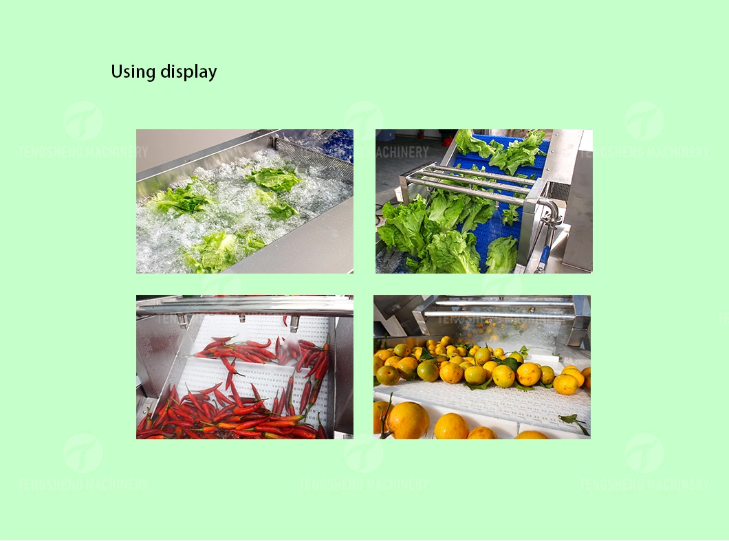 Hotel Bubble Vegetable and Fruit Cleaning Machine Corn Washing Machine (TS-X300)
