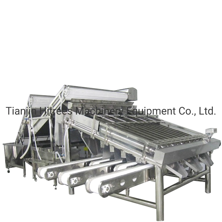 Lobster Machine/Shrimp Grading Machine/Shrimp Sorting Machine