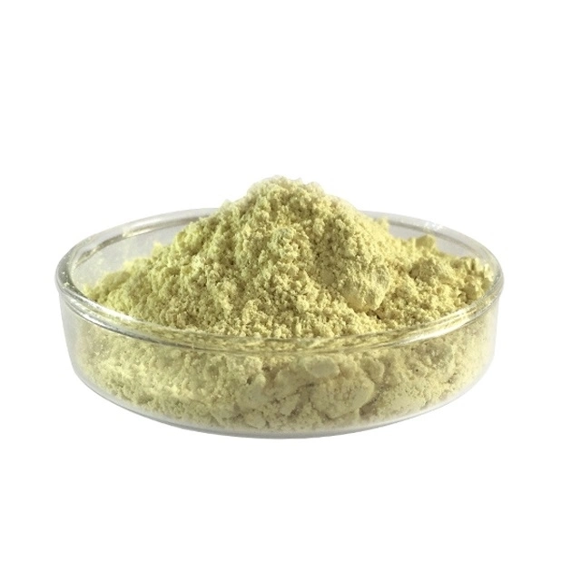 Fava Bean Protein, Protein Powder 60, 80% Fava Bean Extract Broad Bean Extract
