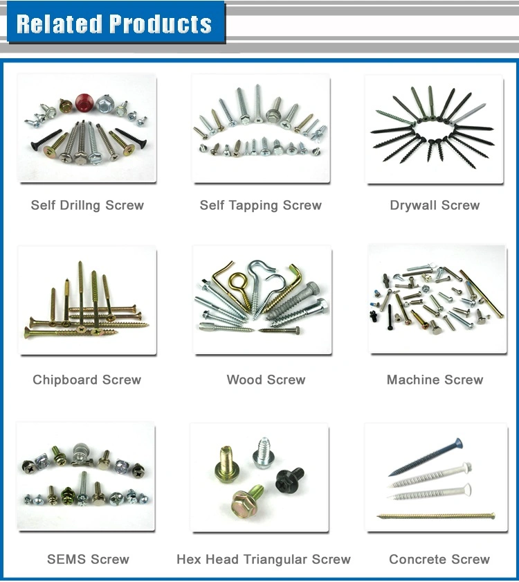 C1022 Self Drilling screw Hexagon Slotted Indented Washer Tek Screw Roofing Screws