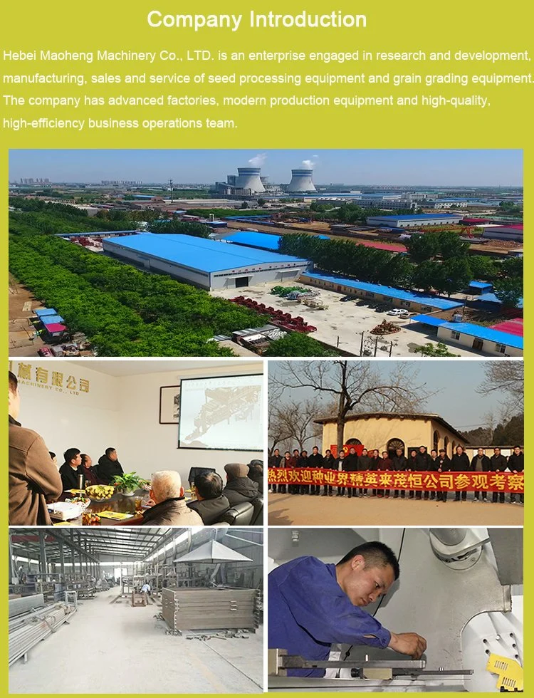 Agricultural Machinery Soybean Processing Machine Grain Cleaning Equipment Wheat Cleaner