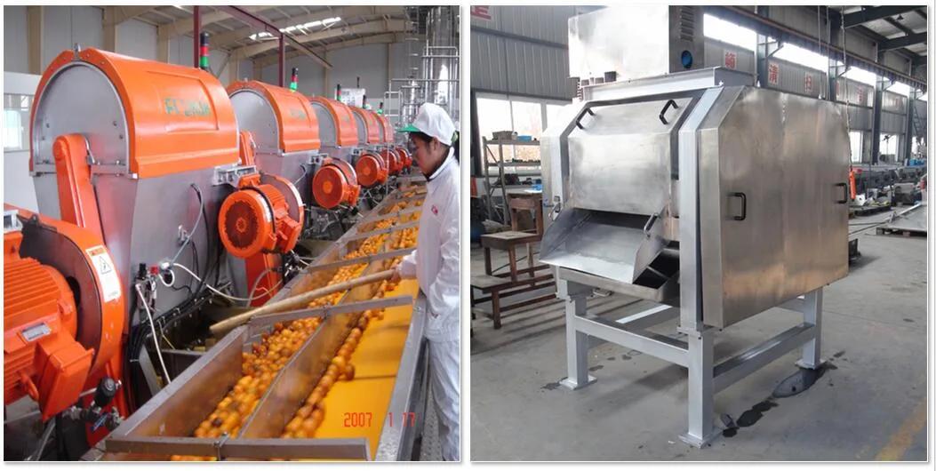 Citrus Juice Processing Line Orange Juice Processing Plant
