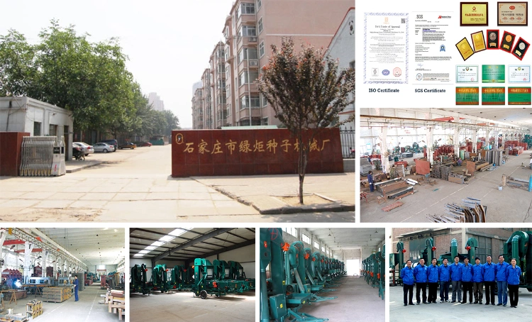 Paddy Seed Processing Plant Equipment for Processing Paddy Seed