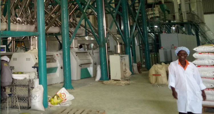 Maize Flour Mill for Cleaning Machine, Peeling Machine, Flour Milling Machine and Packing Machine