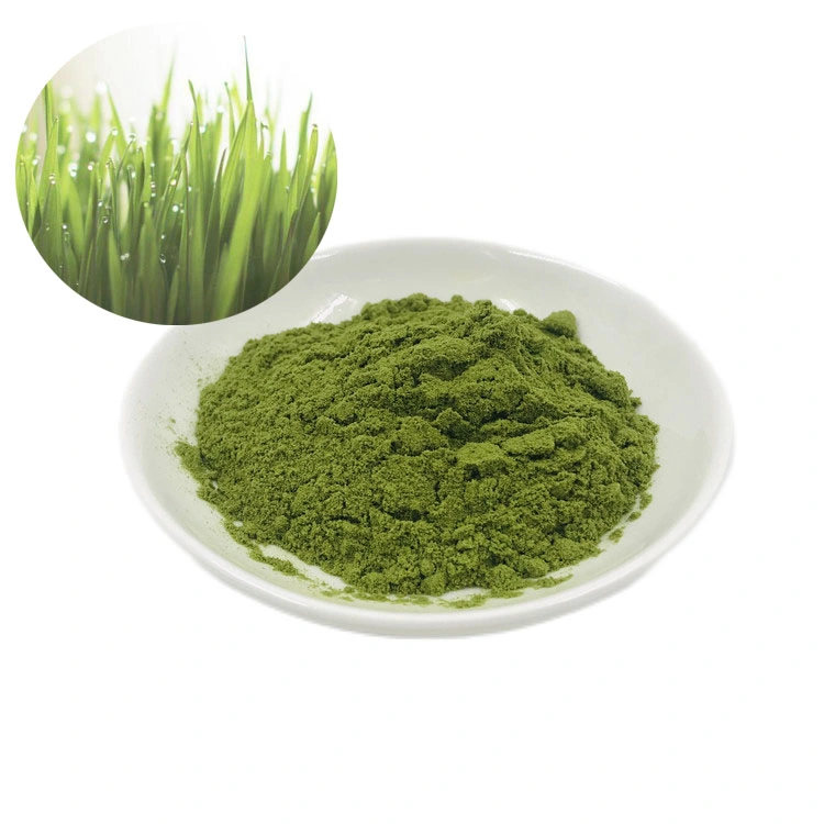High Quality Organic Barley Grass Juice Powder Bulk Organic Barley Grass Powder Raw Material