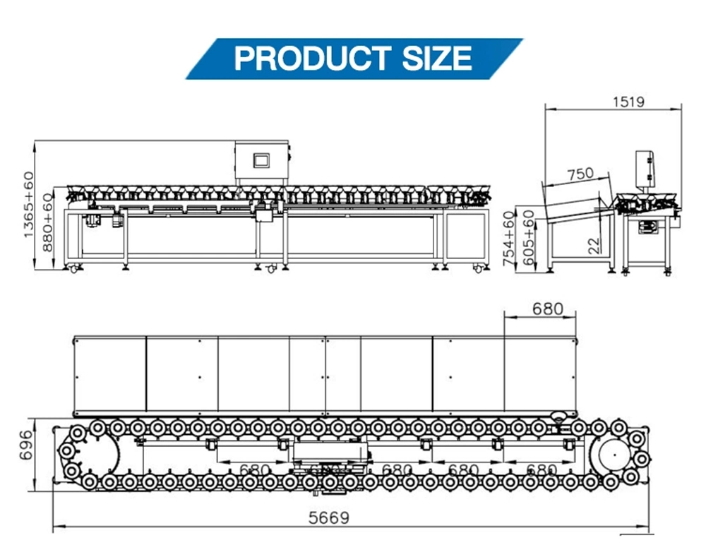 Automatic Cleaning Sorting Machine Production Line Food Processor