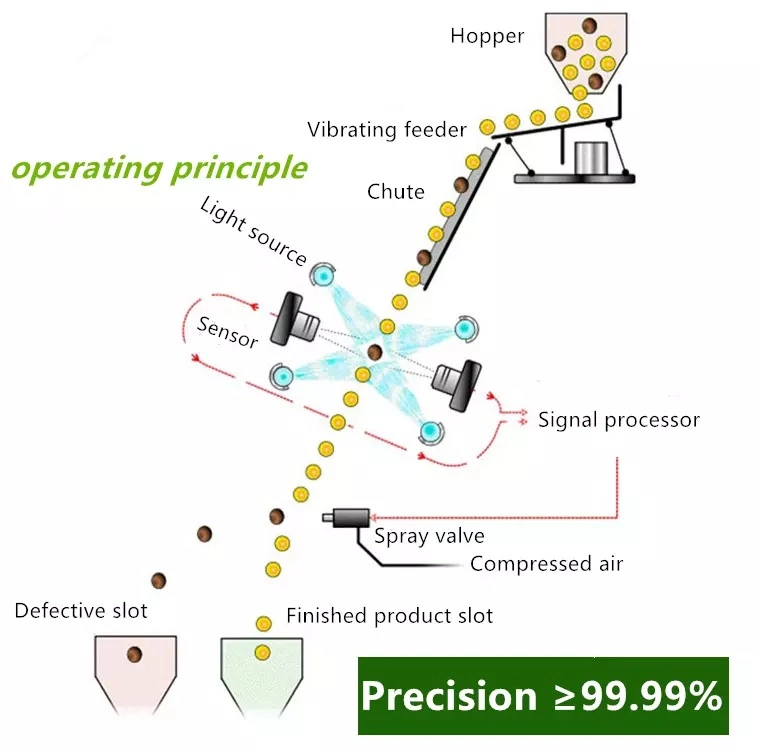 Industrial Bean Color Sorter Coffee Bean Color Sorter Machine Wholesale Cocoa Bean Color Sorter