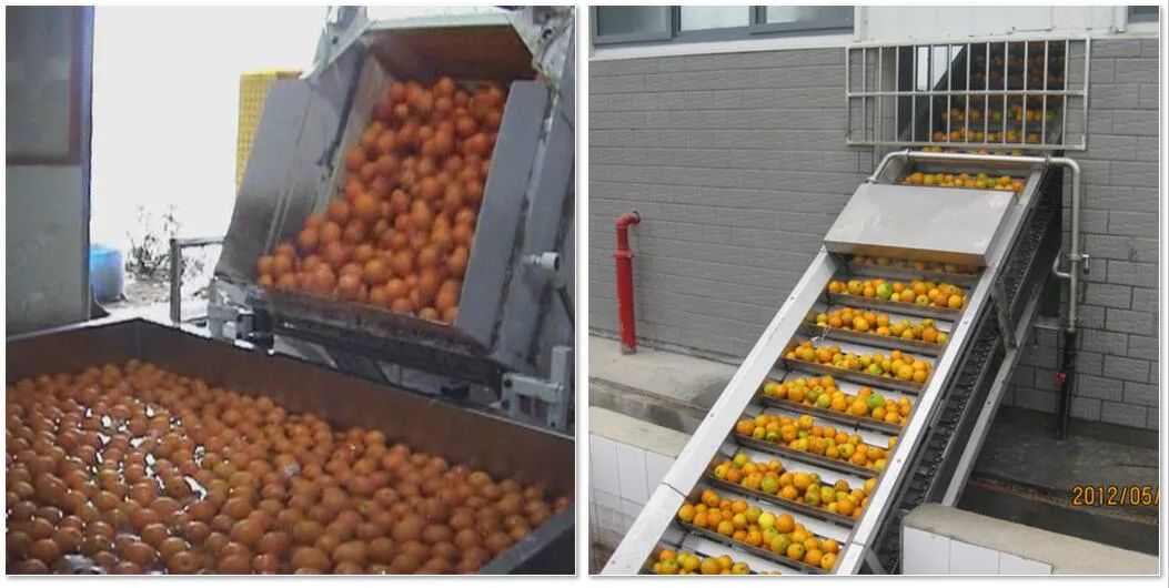 Citrus Juice Processing Line Orange Juice Processing Plant