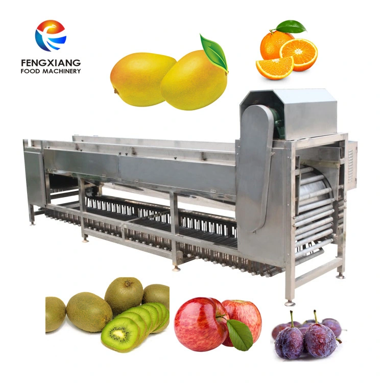 Og-606 Fruit Grading Machine Orange Sorter Onion Grading Machine